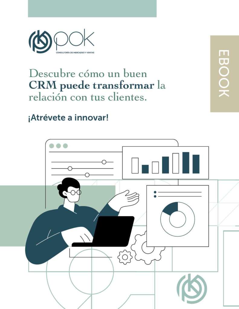 thumbnail of Ebook POK Consulting